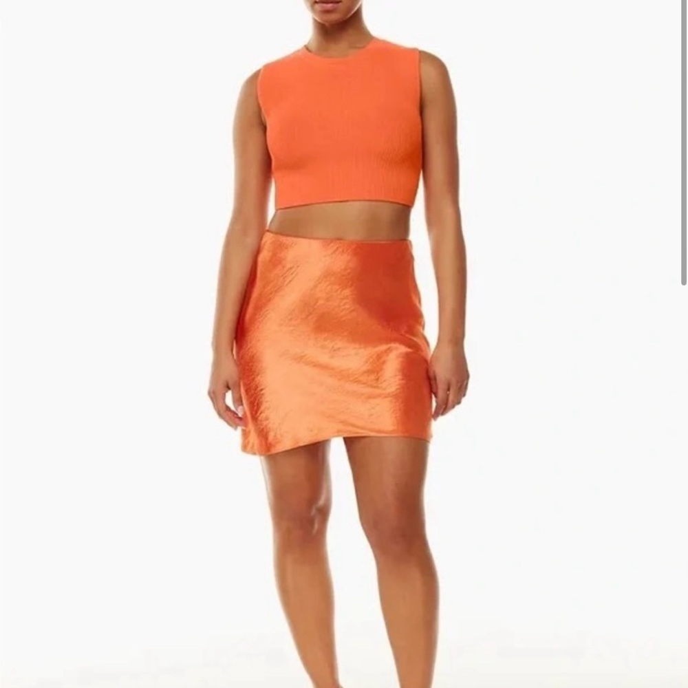 Aritzia Babaton slip skirt